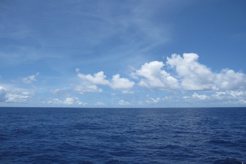 中佛羅里達大學:利用新型納米材料從海水中生產氫燃料成為可能 中佛羅里達大學:利用新型納米材料從海水中生產氫燃料成為可能